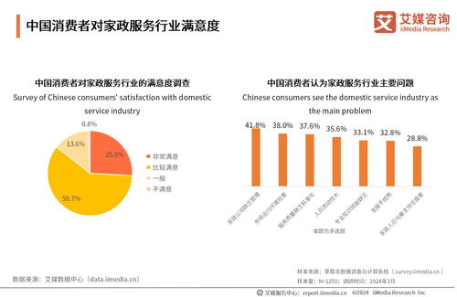 2024-2025年中國家政服務(wù)業(yè)發(fā)展及行業(yè)投資機(jī)遇分析 網(wǎng)絡(luò)技術(shù)驅(qū)動的變革與信息咨詢價(jià)值